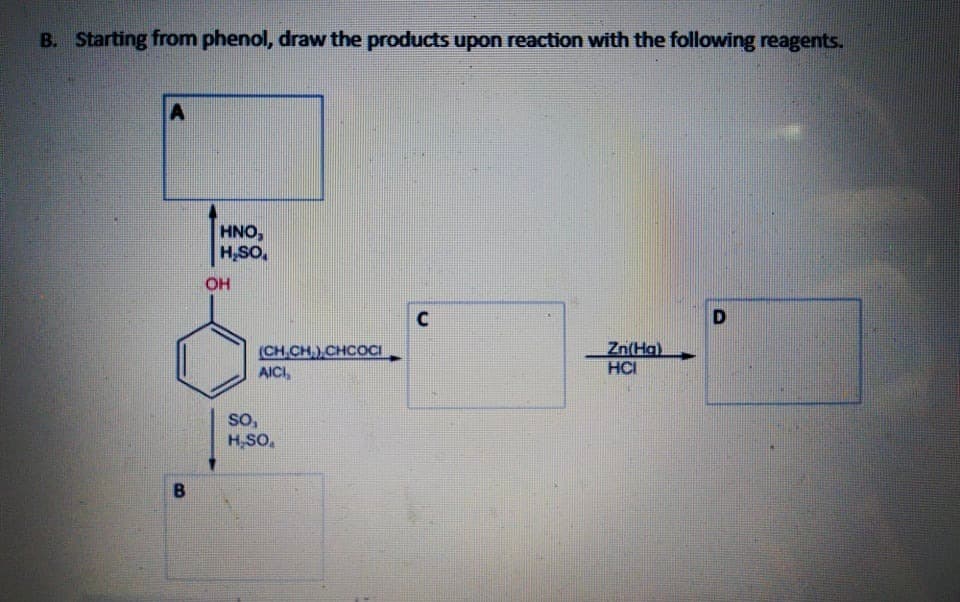 B. Starting from phenol, draw the products upon reaction with the following reagents.
HNO,
H,SO,
OH
C
Zn(Ha)
(CH,CH,),CHCOCI
AICI,
HCI
SO,
H,SO,
B
