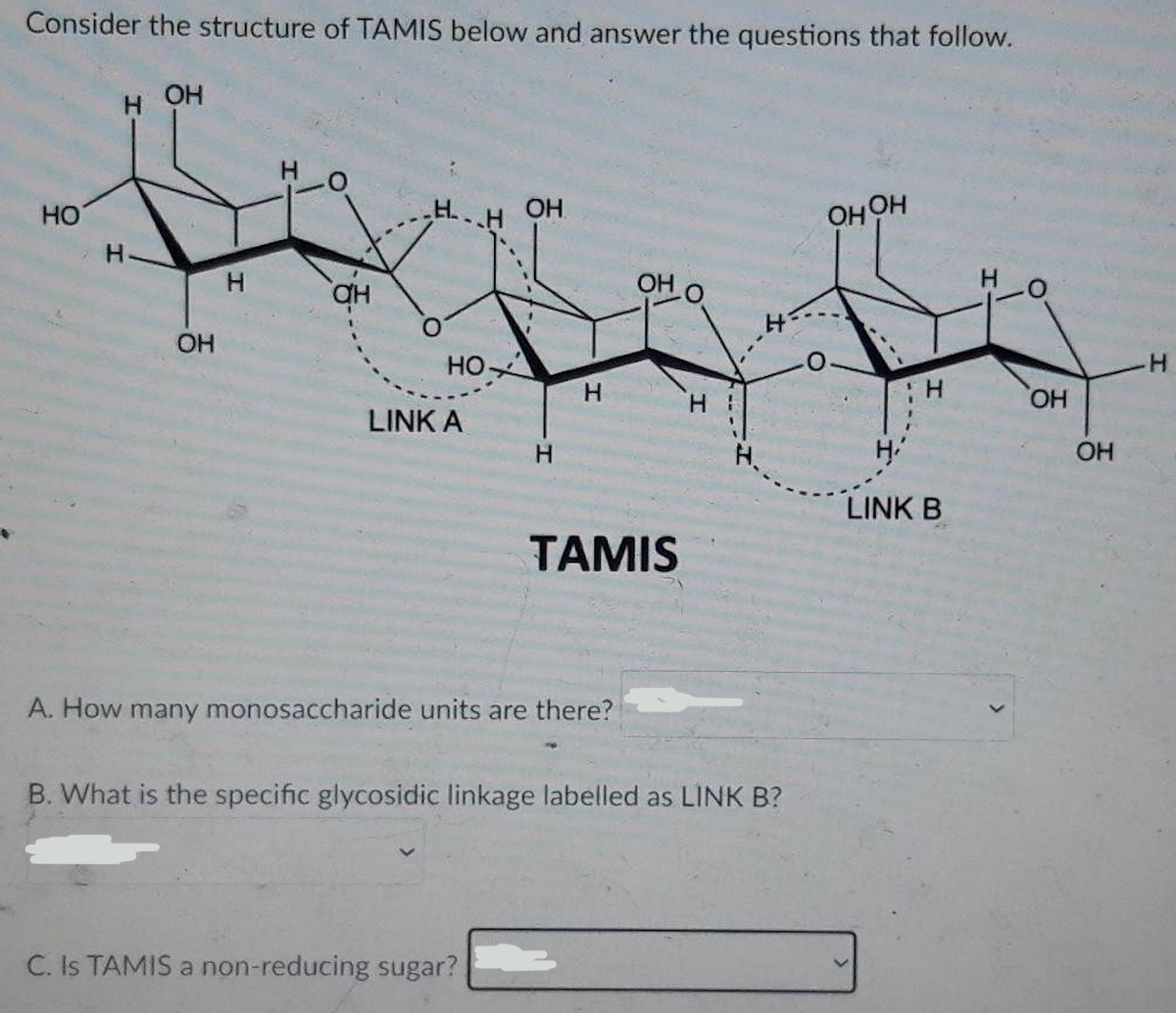Consider the structure of TAMIS below and answer the questions that follow.
H OH
НО
Н
OH
H
-0
ан
Н.
НО-
LINK A
H
ОН
C. Is TAMIS a non-reducing sugar?
Н
Н
A. How many monosaccharide units are there?
ОН О
TAMIS
I
H.
B. What is the specific glycosidic linkage labelled as LINK B?
Онон
Н
H
LINK B
OH
ОН
H