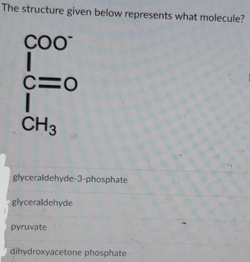The structure given below represents what molecule?
COO
I
С=0
1
CH3
glyceraldehyde-3-phosphate
glyceraldehyde
pyruvate
dihydroxyacetone phosphate