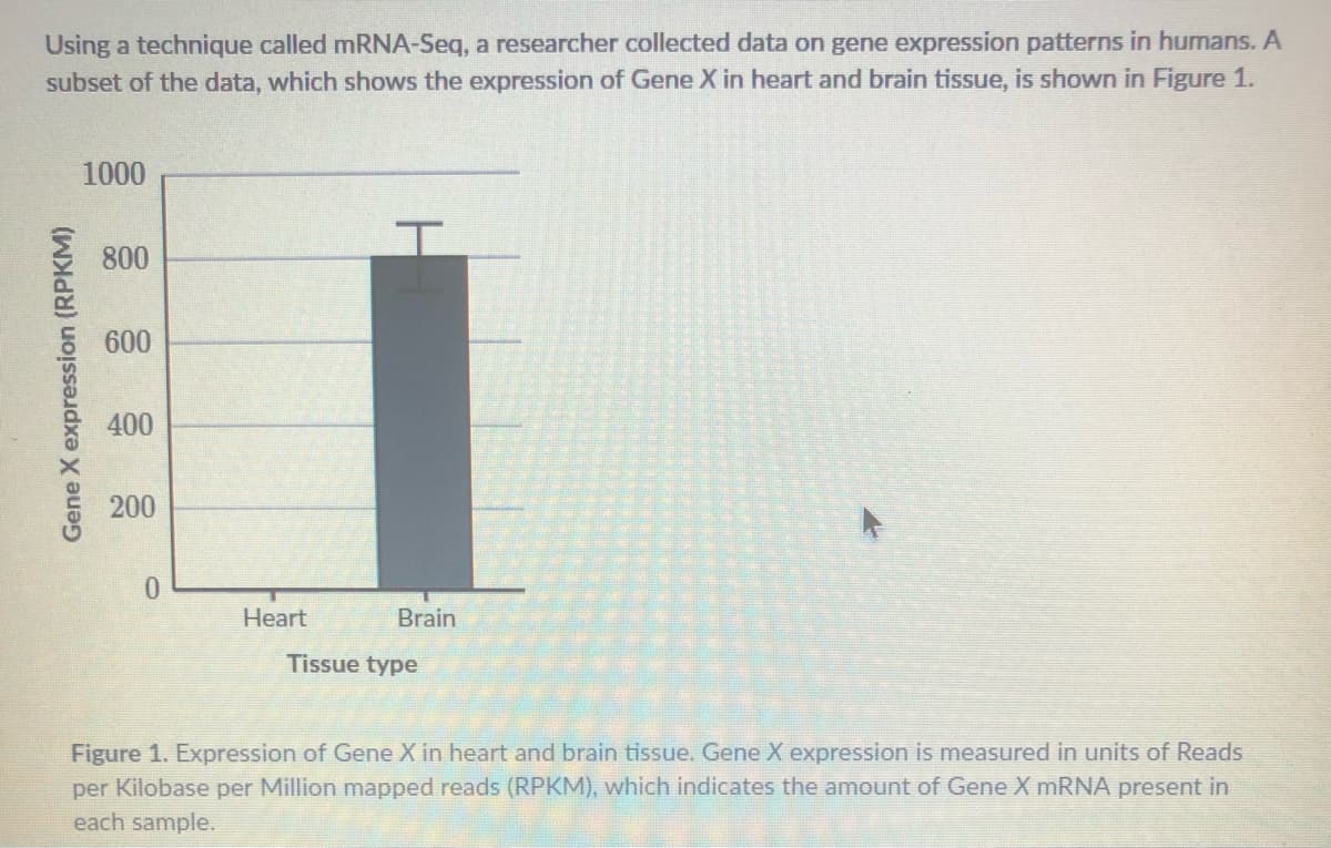 Using a technique called MRNA-Seq, a researcher collected data on gene expression patterns in humans. A
subset of the data, which shows the expression of Gene X in heart and brain tissue, is shown in Figure 1.
1000
800
600
400
200
Heart
Brain
Tissue type
Figure 1. Expression of Gene X in heart and brain tissue. Gene X expression is measured in units of Reads
per Kilobase per Million mapped reads (RPKM), which indicates the amount of Gene X MRNA present in
each sample.
Gene X expression (RPKM)
