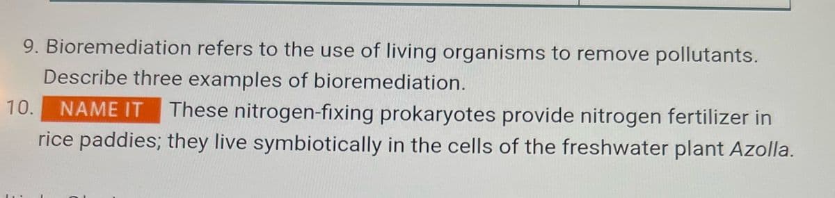 9. Bioremediation refers to the use of living organisms to remove pollutants.
Describe three examples of bioremediation.
10. NAME IT These nitrogen-fixing prokaryotes provide nitrogen fertilizer in
rice paddies; they live symbiotically in the cells of the freshwater plant Azolla.