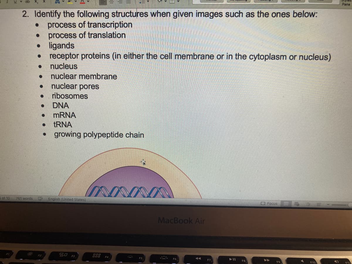 2. Identify the following structures when given images such as the ones below:
● process of transcription
process of translation
● ligands
receptor proteins (in either the cell membrane or in the cytoplasm or nucleus)
nucleus
●
●
● nuclear membrane
nuclear pores
●
● ribosomes
DNA
● mRNA
● tRNA
• growing polypeptide chain
5 of 10 761 words 呕
English (United States)
80 F3
mann
900
MacBook Air
F7
FB
Focus E
F10
Pane