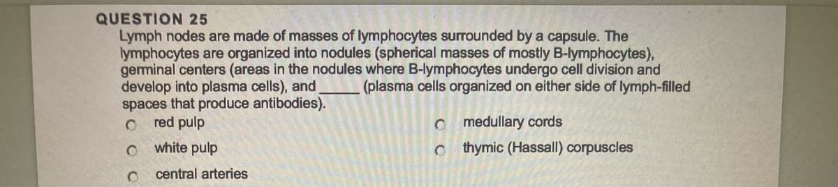 QUESTION 25
Lymph nodes are made of masses of lymphocytes surrounded by a capsule. The
lymphocytes are organized into nodules (spherical masses of mostly B-lymphocytes),
germinal centers (areas in the nodules where B-lymphocytes undergo cell division and
develop into plasma cells), and (plasma cells organized on either side of lymph-filled
spaces that produce antibodies).
O
red pulp
O
white pulp
O
central arteries
medullary cords
thymic (Hassall) corpuscles