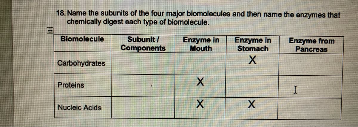 18. Name the subunits of the four major biomolecules and then name the enzymes that
chemically digest each type of biomolecule.
Biomolecule
Carbohydrates
Proteins
Nucleic Acids
Subunit /
Components
Enzyme in
Mouth
X
X
Enzyme in
Stomach
X
X
Enzyme from
Pancreas
I
