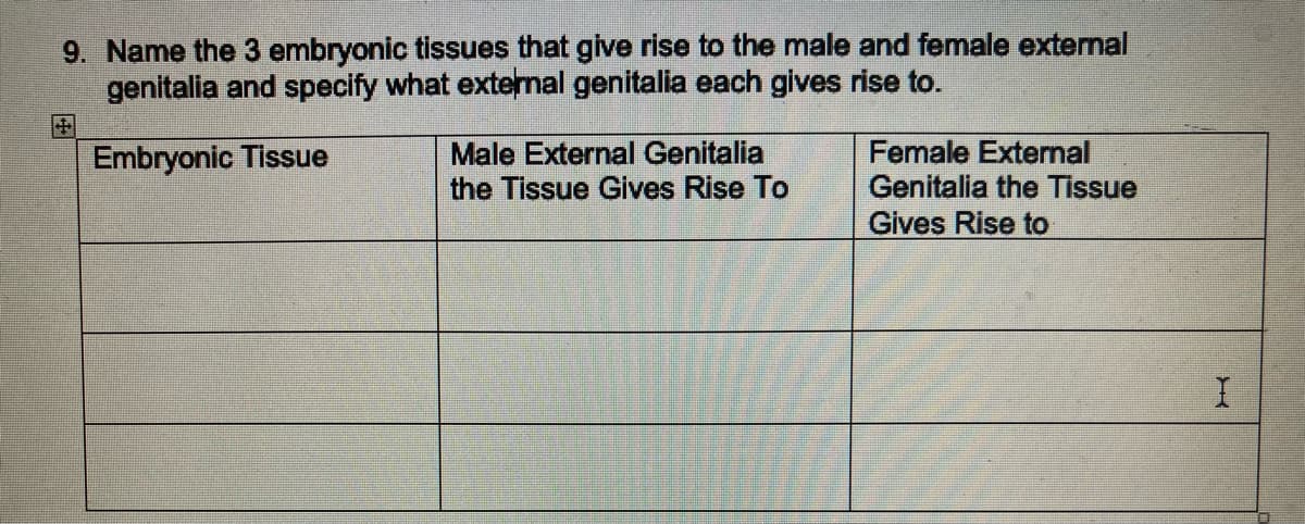 9. Name the 3 embryonic tissues that give rise to the male and female external
genitalia and specify what external genitalia each gives rise to.
Embryonic Tissue
Male External Genitalia
the Tissue Gives Rise To
Female External
Genitalia the Tissue
Gives Rise to
I