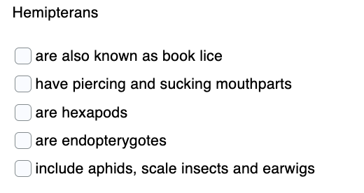 Hemipterans
| are also known as book lice
have piercing and sucking mouthparts
are hexapods
are endopterygotes
include aphids, scale insects and earwigs

