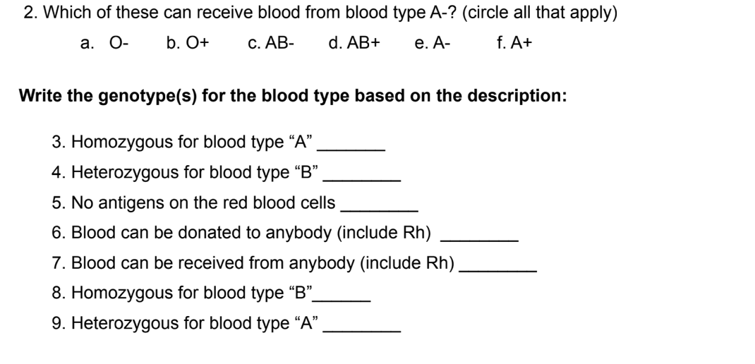 2. Which of these can receive blood from blood type A-? (circle all that apply)
а. О-
b. O+
С. АВ-
d. AB+
е. А-
f. A+
Write the genotype(s) for the blood type based on the description:
3. Homozygous for blood type “A"
4. Heterozygous for blood type “B"
5. No antigens on the red blood cells
6. Blood can be donated to anybody (include Rh)
7. Blood can be received from anybody (include Rh)
8. Homozygous for blood type "B"_
9. Heterozygous for blood type “A"
