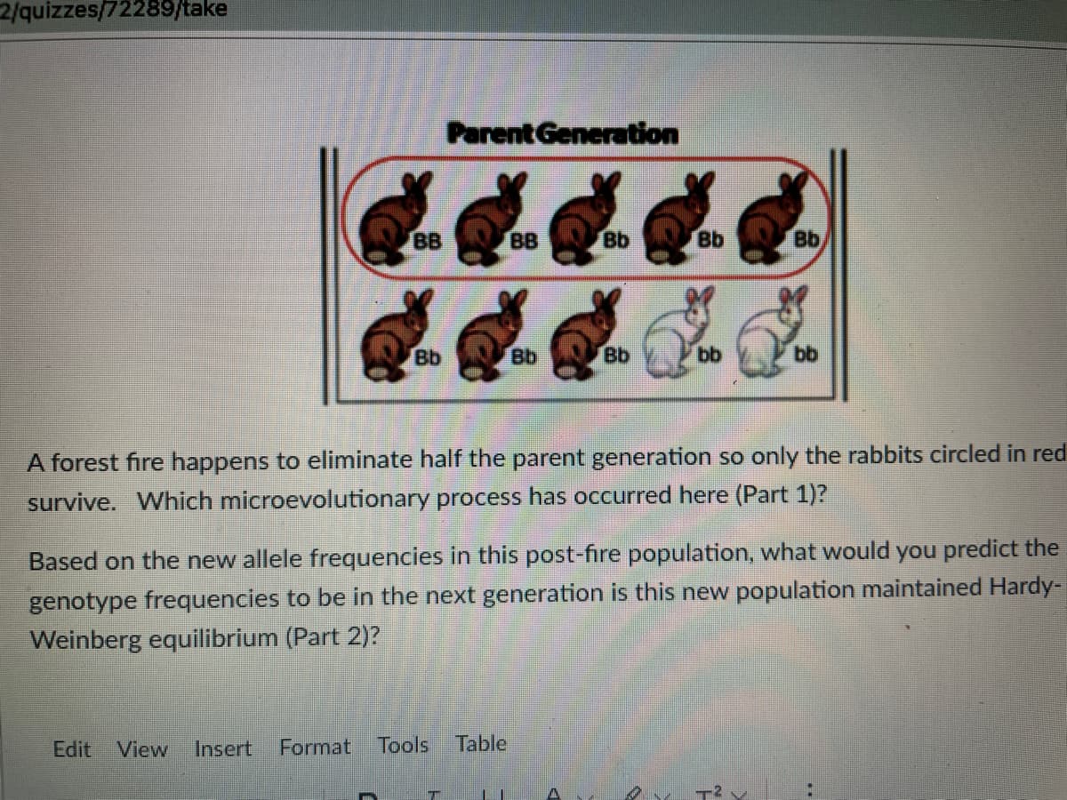 2/quizzes/72289/take
ParentGeneration
BB
BB
Bb
Bb
Bb
Bb
Bb
Bb
bb
bb
A forest fire happens to eliminate half the parent generation so only the rabbits circled in red
survive. Which microevolutionary process has occurred here (Part 1)?
Based on the new allele frequencies in this post-fire population, what would you predict the
genotype frequencies to be in the next generation is this new population maintained Hardy-
Weinberg equilibrium (Part 2)?
Edit
View
Insert
Format
Tools
Table
