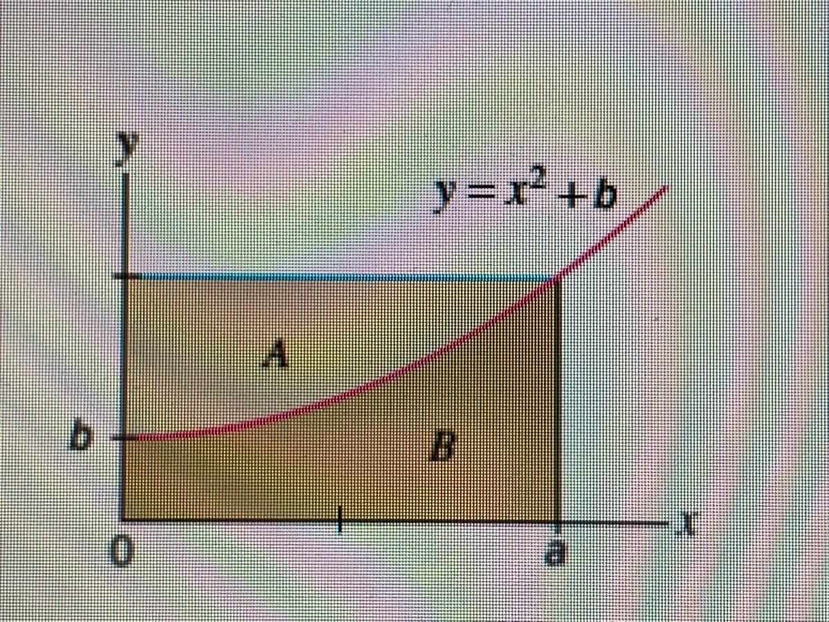 y=x²+b
A.
