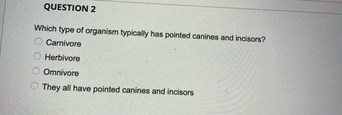 QUESTION 2
Which type of organism typically has pointed canines and incisors?
Carnivore
Herbivore
Omnivore
They all have pointed canines and incisors
