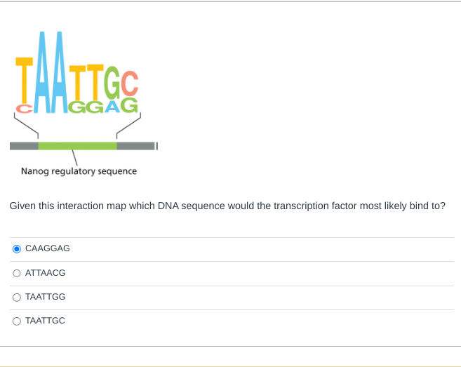 TAN TTGC
IGGAG
Nanog regulatory sequence
Given this interaction map which DNA sequence would the transcription factor most likely bind to?
CAAGGAG
ATTAACG
TAATTGG
TAATTGC