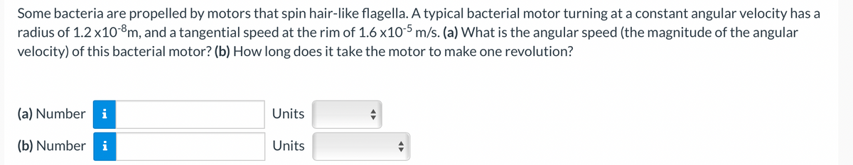 Some bacteria are propelled by motors that spin hair-like flagella. A typical bacterial motor turning at a constant angular velocity has a
radius of 1.2 x10-8m, and a tangential speed at the rim of 1.6 x10-5 m/s. (a) What is the angular speed (the magnitude of the angular
velocity) of this bacterial motor? (b) How long does it take the motor to make one revolution?
(a) Number i
(b) Number
Units
Units
