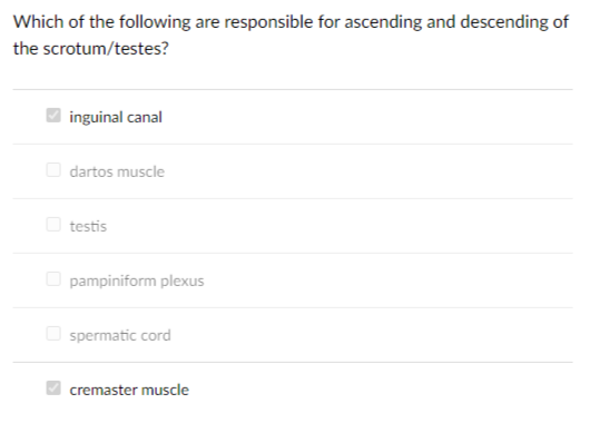 Which of the following are responsible for ascending and descending of
the scrotum/testes?
O inguinal canal
O dartos muscle
O testis
O pampiniform plexus
O spermatic cord
cremaster muscle
