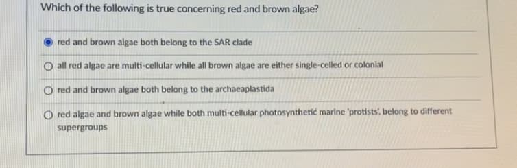 Which of the following is true concerning red and brown algae?
red and brown algae both belong to the SAR clade
O all red algae are multi-cellular while all brown algae are either single-celled or colonial
O red and brown algae both belong to the archaeaplastida
O red algae and brown algae while both multi-cellular photosynthetic marine 'protists', belong to different
supergroups
