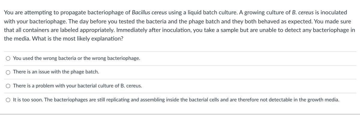 You are attempting to propagate bacteriophage of Bacillus cereus using a liquid batch culture. A growing culture of B. cereus is inoculated
with your bacteriophage. The day before you tested the bacteria and the phage batch and they both behaved as expected. You made sure
that all containers are labeled appropriately. Immediately after inoculation, you take a sample but are unable to detect any bacteriophage in
the media. What is the most likely explanation?
O You used the wrong bacteria or the wrong bacteriophage.
There is an issue with the phage batch.
O There is a problem with your bacterial culture of B. cereus.
O It is too soon. The bacteriophages are still replicating and assembling inside the bacterial cells and are therefore not detectable in the growth media.
