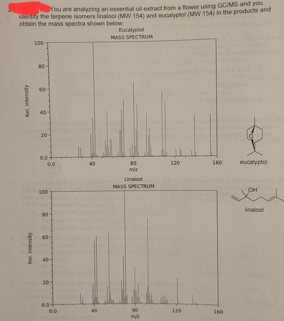 You are analyzing an essential oil extract from a flower using GC/MS and you
identify the terpene isomers linalool (MW 154) and eucalyptol (MW 154) in the products and
obtain the mass spectra shown below:
Rel. Intensity
Rel. Intensity
100
80
60-
40
20
0.0+
0.0
100
the
80-
60
40
20
0.0-
0.0
Jutal
80
m/z
Linalool
MASS SPECTRUM
40
Eucalyptol
MASS SPECTRUM
40
80
m/z
120
120
160
160
O
og BAC
eno
eucalyptol
(Einlog
OH
linalool