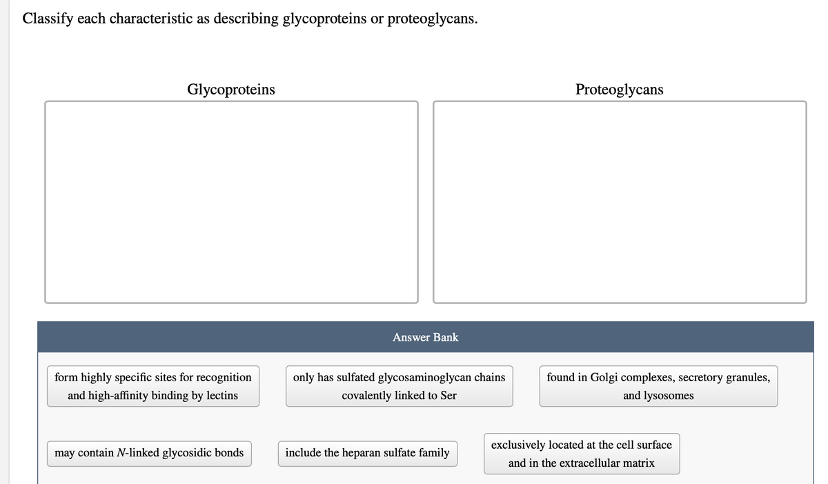 Classify each characteristic as describing glycoproteins or proteoglycans.
Glycoproteins
Proteoglycans
Answer Bank
form highly specific sites for recognition
only has sulfated glycosaminoglycan chains
found in Golgi complexes, secretory granules,
and high-affinity binding by lectins
covalently linked to Ser
and lysosomes
exclusively located at the cell surface
may contain N-linked glycosidic bonds
include the heparan sulfate family
and in the extracellular matrix
