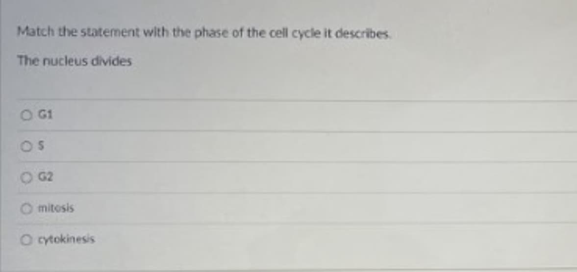 Match the statement with the phase of the cell cycle it describes.
The nucleus divides
O G1
G2
O mitosis
O cytokinesis
