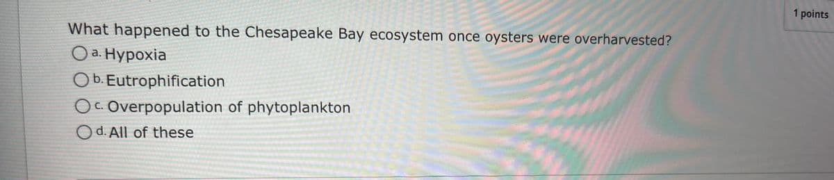 1 points
What happened to the Chesapeake Bay ecosystem once oysters were overharvested?
Оа. Нурохіа
O b. Eutrophification
Oc. Overpopulation of phytoplankton
d. All of these

