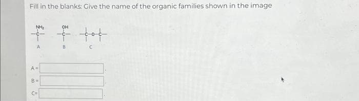 Fill in the blanks: Give the name of the organic families shown in the image
NH₂
A
A=
B=
C=
하
OH
B
---0--
C
