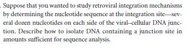 Suppose that you wanted to study retroviral integration mechanisms
by determining the nucleotide sequence at the integration site-sev-
eral dozen nucleotides on each side of the viral-cellular DNA junc-
tion. Describe how to isolate DNA containing a junction site in
amounts sufficient for sequence analysis.
