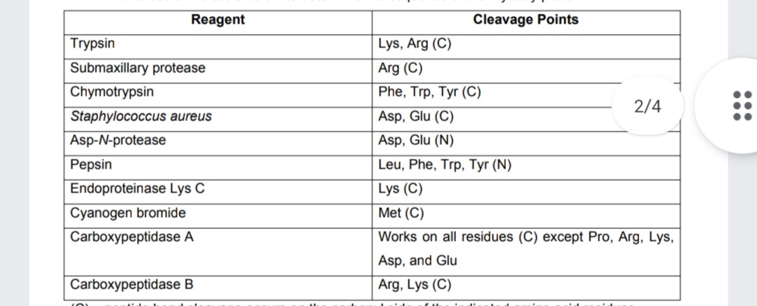 Reagent
Cleavage Points
Trypsin
Lys, Arg (C)
Submaxillary protease
Arg (C)
Chymotrypsin
Phe, Trp, Tyr (C)
2/4
Staphylococcus aureus
Asp, Glu (C)
Asp-N-protease
Asp, Glu (N)
Pepsin
Leu, Phe, Trp, Tyr (N)
Endoproteinase Lys C
Lys (C)
Cyanogen bromide
Met (C)
Carboxypeptidase A
Works on all residues (C) except Pro, Arg, Lys,
Asp, and Glu
Carboxypeptidase B
Arg, Lys (C)
