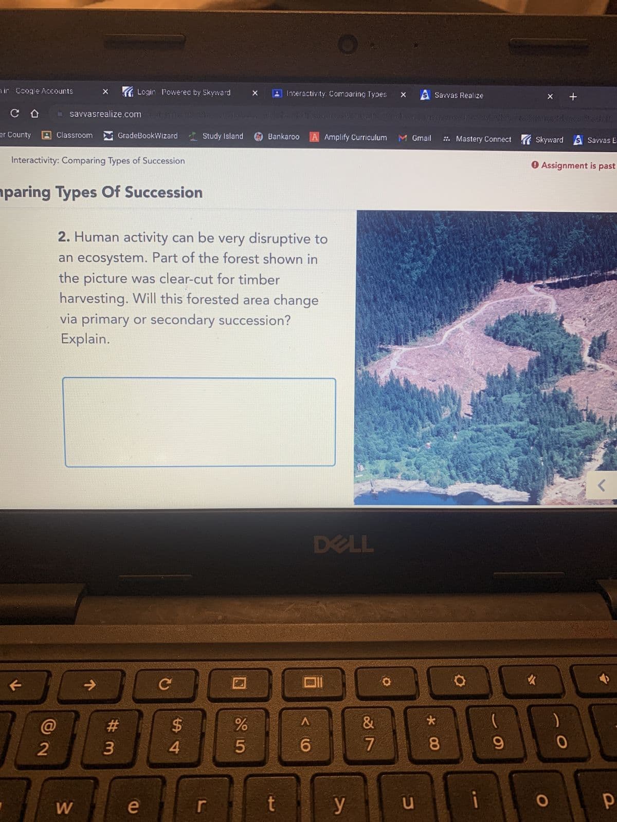 in Google Accounts
CD
er County
@
Classroom
Interactivity: Comparing Types of Succession
2
paring Types Of Succession
Login Powered by Skyward
savvasrealize.com mentesele ser la col-Fi-ka Tesle 00213 Villaummante The Int23- Feudinal 4-door the ball
GradeBookWizard Study Island
W
71
# 3
2. Human activity can be very disruptive to
an ecosystem. Part of the forest shown in
the picture was clear-cut for timber
harvesting. Will this forested area change
via primary or secondary succession?
Explain.
e
с
54
$
r
Interactivity: Comparing Types
%
5
Bankaroo
t
A
6
Amplify Curriculum M Gmail
DELL
y
&
27
S Savvas Realize
u
*00
8
S
::. Mastery Connect Skyward Savvas E-
i
(
9
x +
▸ Assignment is past
JA
O
O
<
р