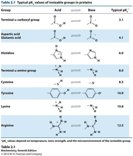 Table 2.1 Typical pk, values of ionizable groups in proteins
Group
Acid
Base
Typical pk
Terminal a-carboxyl group
3.1
Aspartic acid
Glutamic acid
4.1
Histidine
6.0
Terminal a-amino group
-N
H.
8.0
H.
Cysteine
H
8.3
Tyrosine
-4
10.9
Lysine
10.8
Arginine
12.5
"pK, values depend on temperature, ionic strength, and the microenvironment of the ionizable group.
Table 2.1
Biochemistry, Seventh Edition
© 2012 W. H. Freeman and Company
