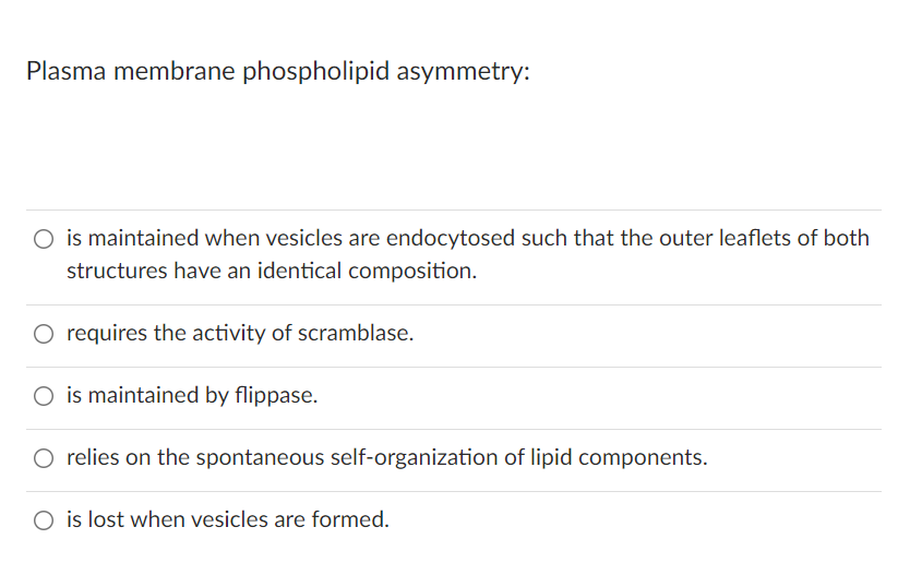 Plasma membrane phospholipid asymmetry:
O is maintained when vesicles are endocytosed such that the outer leaflets of both
structures have an identical composition.
requires the activity of scramblase.
O is maintained by flippase.
O relies on the spontaneous self-organization of lipid components.
O is lost when vesicles are formed.
