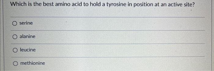 Which is the best amino acid to hold a tyrosine in position at an active site?
O serine
O alanine
O leucine
O methionine