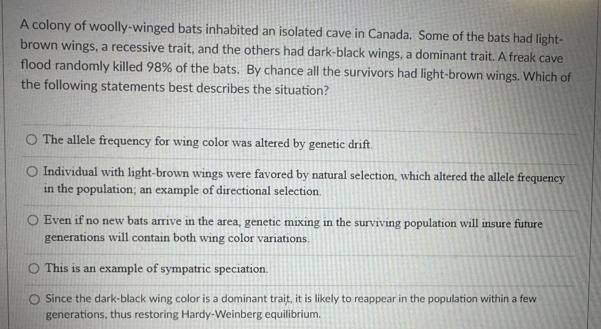 A colony of woolly-winged bats inhabited an isolated cave in Canada. Some of the bats had light-
brown wings, a recessive trait, and the others had dark-black wings, a dominant trait. A freak cave
flood randomly killed 98% of the bats. By chance all the survivors had light-brown wings. Which of
the following statements best describes the situation?
The allele frequency for wing color was altered by genetic drift.
O Individual with light-brown wings were favored by natural selection, which altered the allele frequency
in the population; an example of directional selection.
O Even if no new bats arrive in the area, genetic mixing in the surviving population will insure future
generations will contain both wing color variations.
O This is an example of sympatric speciation.
Since the dark-black wing color is a dominant trait, it is likely to reappear in the population within a few
generations, thus restoring Hardy-Weinberg equilibrium.