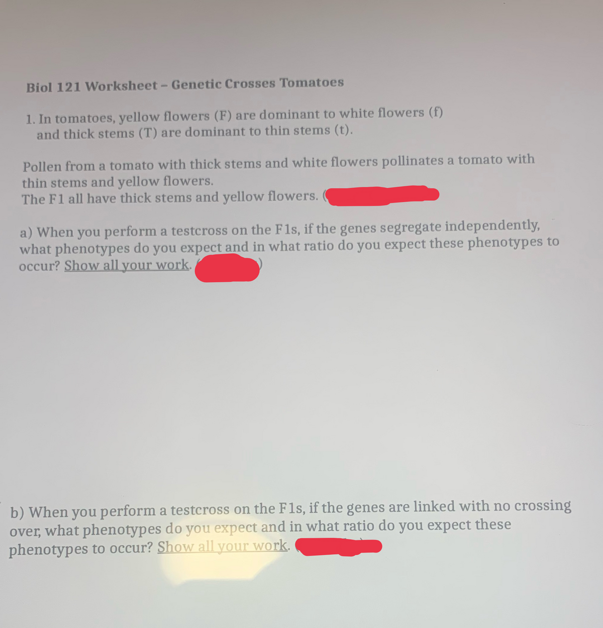 Biol 121 Worksheet - Genetic Crosses Tomatoes
1. In tomatoes, yellow flowers (F) are dominant to white flowers (f)
and thick stems (T) are dominant to thin stems (t).
Pollen from a tomato with thick stems and white flowers pollinates a tomato with
thin stems and yellow flowers.
The F1 all have thick stems and yellow flowers.
a) When you perform a testcross on the F1s, if the genes segregate independently,
what phenotypes do you expect and in what ratio do you expect these phenotypes to
occur? Show all your work.
b) When you perform a testcross on the F1s, if the genes are linked with no crossing
over, what phenotypes do you expect and in what ratio do you expect these
phenotypes to occur? Show all your work.