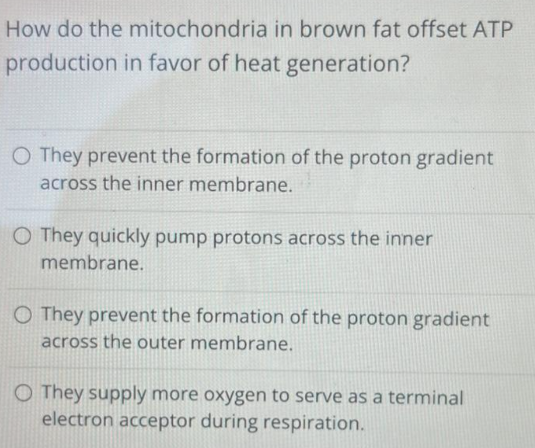 How do the mitochondria in brown fat offset ATP
production in favor of heat generation?
O They prevent the formation of the proton gradient
across the inner membrane.
O They quickly pump protons across the inner
membrane.
O They prevent the formation of the proton gradient
across the outer membrane.
O They supply more oxygen to serve as a terminal
electron acceptor during respiration.