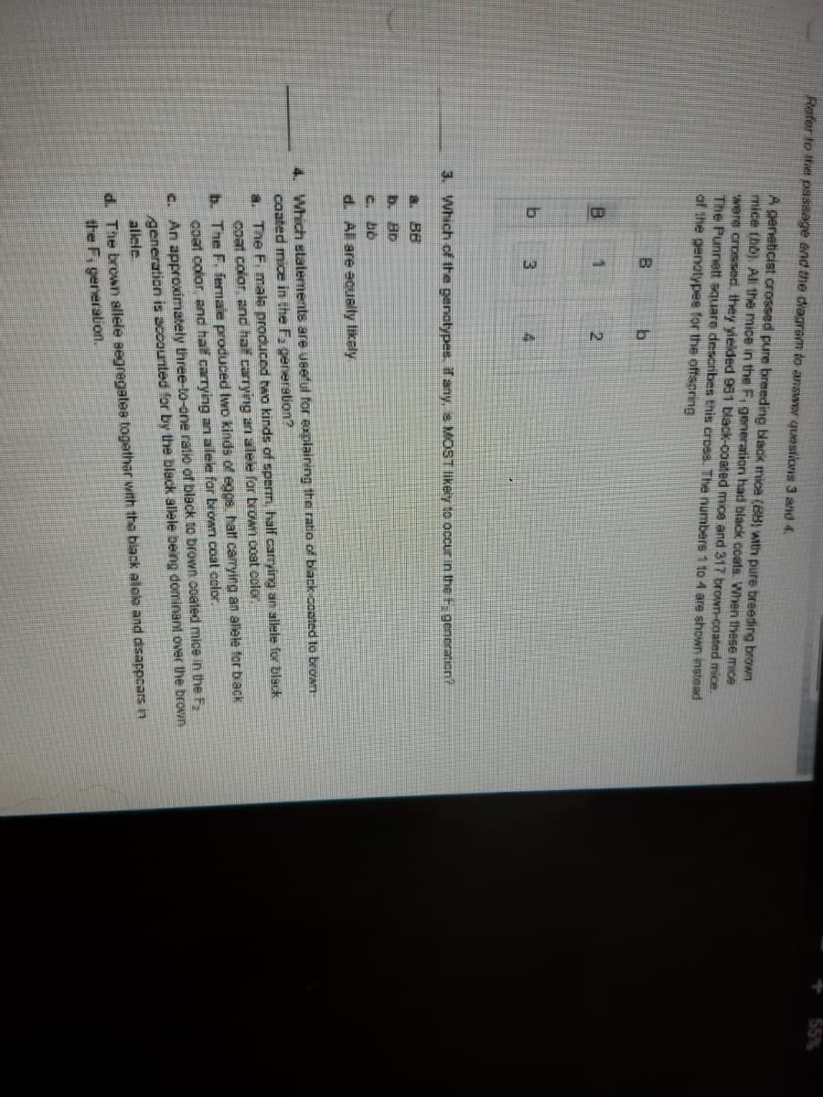 Refer to Ihe passage end the diagrem to answer questions 3 and 4.
55%
A genetcist crossed pure breeding black mice (88) with pure breeding brown
mice (bb). AI the mice in the F, generation had black ceats. When these mice
were crossed, they yieided 951 black-coated mice and 317 brown-coated mice.
The Punnett square describes this cross. The numbers 1 1o 4 are shown instead
of the genotypes for the offspring
B.
2
41
3. Which of the penalypes. if any, is MOST likely to occurin the F gencration?
a. BB
b. Bộ
C. bb
d. All are ecuslly likaly
4. Which statements are ueeful for explaining the ratio of biack conted to broan
caated mice in the Fa generation?
a. The F, male produced two kinds of sperm, half carrying an allele for black
coat color and haf carrying arn alele for brown coat colo.
b. The F, fernale produced two kinds of eggs. half carying an alele forback
coat color, and haf carrying an alele for broYNI coat color.
c. An approximately three-to-one ratio of black to brown coated mice in the F
generation is accounted for by the black allele being dominant over the brown
allele
d. The brown allele segregates togethar with the black alelo and disappoars in
the F, generalion.
