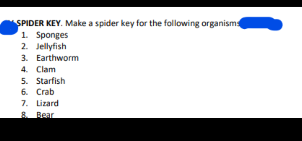 SPIDER KEY. Make a spider key for the following organisms
1. Sponges
2. Jellyfish
3. Earthworm
4. Clam
5. Starfish
6. Crab
7. Lizard
8.
Bear
