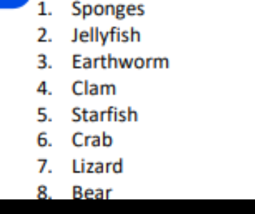1. Sponges
2. Jellyfish
3. Earthworm
4. Clam
5. Starfish
6. Crab
7. Lizard
8. Bear
