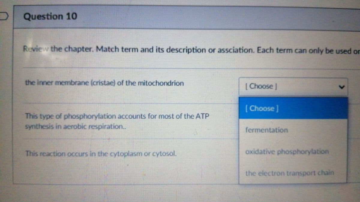 Question 10
Review the chapter. Match term and its description or assciation. Each term can only be used or
the inner membrane (cristae) of the mitochondrion
[Choose J
[ Choose]
This type of phosphorylation accounts for most of the ATP
synthesis in aerobic respiration.
fermentation
This reaction occurs in the cytoplasm or cytosol.
oxidative phosphorylation
the electron transport chain
