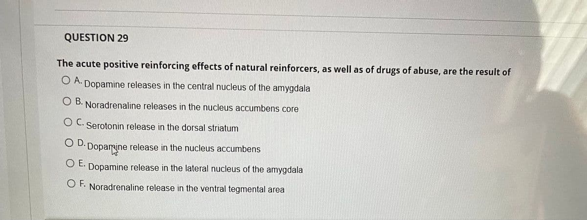 QUESTION 29
The acute positive reinforcing effects of natural reinforcers, as well as of drugs of abuse, are the result of
O A.
Dopamine releases in the central nucleus of the amygdala
O B.
Noradrenaline releases in the nucleus accumbens core
C.
Serotonin release in the dorsal striatum
OD.
Dopamine release in the nucleus accumbens
O E. Dopamine release in the lateral nucleus of the amygdala
O F. Noradrenaline release in the ventral tegmental area
