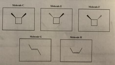 Molecule C
Molecule E
Molecule F
Molecule G
Molecule H
