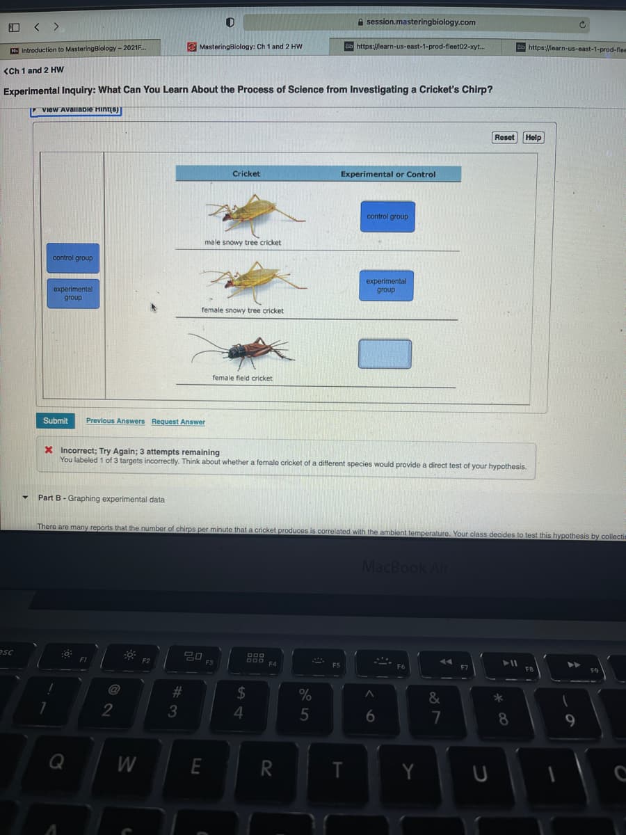 A session.masteringbiology.com
<>
E MasteringBiology: Ch 1 and 2 HW
Bb https://learn-us-east-1-prod-fleet02-xyt..
Bb https://learn-us-east-1-prod-flee
H Introduction to MasteringBiology-2021F.
<Ch 1 and 2 HW
Experimental Inquiry: What Can You Learn About the Process of Science from Investigating a Cricket's Chirp?
T view AvallaDie Hint(s)
Reset Help
Cricket
Experimental or Control
control group
male snowy tree cricket
control group
experimental
group
experimental
group
female snowy tree cricket
female field cricket
Submit
Previous Answers Request Answer
X Incorrect; Try Again; 3 attempts remaining
You labeled 1 of 3 targets incorrectly. Think about whether a female cricket of a different species would provide a direct test of your hypothesis.
Part B- Graphing experimental data
There are many reports that the number of chirps per minute that a cricket produces is correlated with the ambient temperature. Your class decides to test this hypothesis by collecti
MacBook Air
esc
O00
F4
F2
F3
F7
#3
2$
&
2
3
5
7
8
W
E
