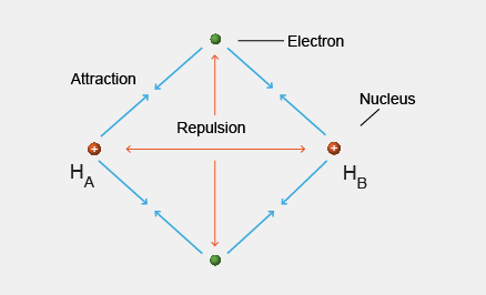 Electron
Attraction
Nucleus
Repulsion
H,
"A
HB
