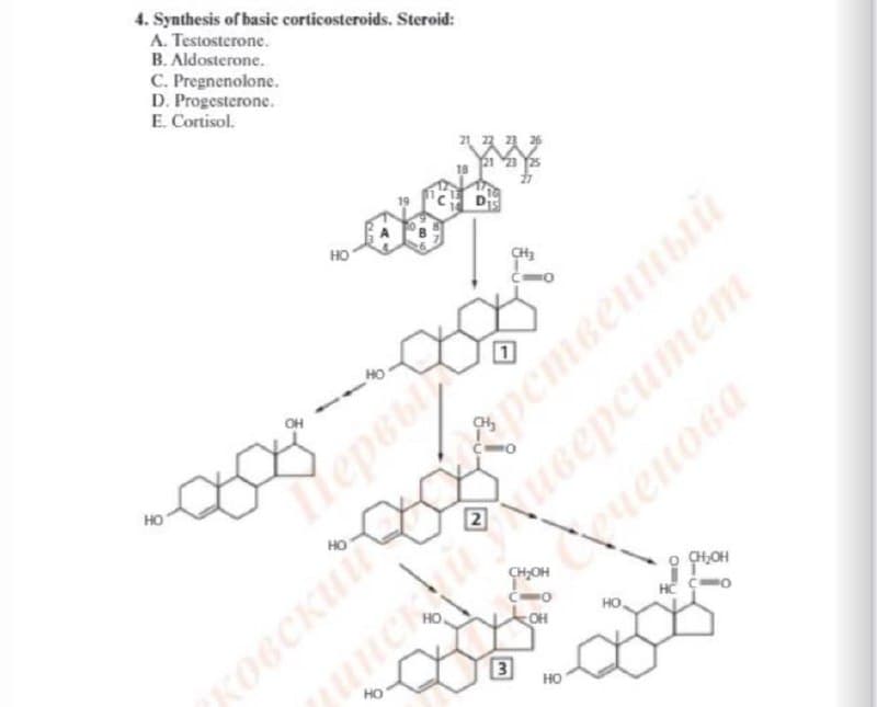 4. Synthesis of basic corticosteroids. Steroid:
A. Testosterone.
B. Aldosterone.
C. Pregnenolone.
D. Progesterone.
E. Cortisol.
но
CH3
OH
но
ковский
uneuy
ченова
но
CHOH
HO
OH
3
HO
HO
Tepebi
Крственный
AuGepcumem
