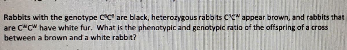 Rabbits with the genotype CC® are black, heterozygous rabbits C°CW appear brown, and rabbits that
are CWCW have white fur. What is the phenotypic and genotypic ratio of the offspring of a cross
between a brown and a white rabbit?
