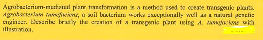 Agrobacterium-mediated plant transformation is a method used to create transgenic plants.
Agrobacterium tumefaciens, a soil bacterium works exceptionally well as a natural genetic
engineer. Describe briefly the creation of a transgenic plant using A. tumefaciens with
illustration.