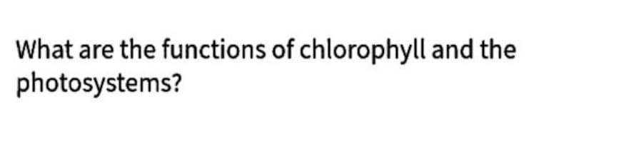 What are the functions of chlorophyll and the
photosystems?
