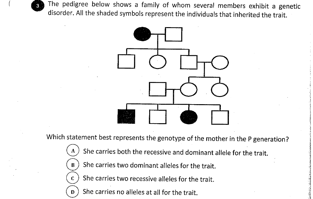 The pedigree below shows a family of whom several members exhibit a genetic
disorder. All the shaded symbols represent the individuals that inherited the trait.
3
Which statement best represents the genotype of the mother in the P generation?
A
She carries both the recessive and dominant allele for the trait.
B
She carries two dominant alleles for the trait.
She carries two recessive alleles for the trait.
D
She carries no alleles at all for the trait.
