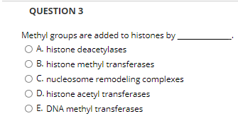 QUESTION 3
Methyl groups are added to histones by.
O A. histone deacetylases
B. histone methyl transferases
C. nucleosome remodeling complexes
D. histone acetyl transferases
E. DNA methyl transferases
