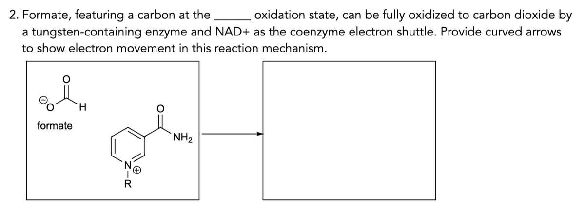2. Formate, featuring a carbon at the
oxidation state, can be fully oxidized to carbon dioxide by
a tungsten-containing enzyme and NAD+ as the coenzyme electron shuttle. Provide curved arrows
to show electron movement in this reaction mechanism.
formate
H
ZIR
NH₂
