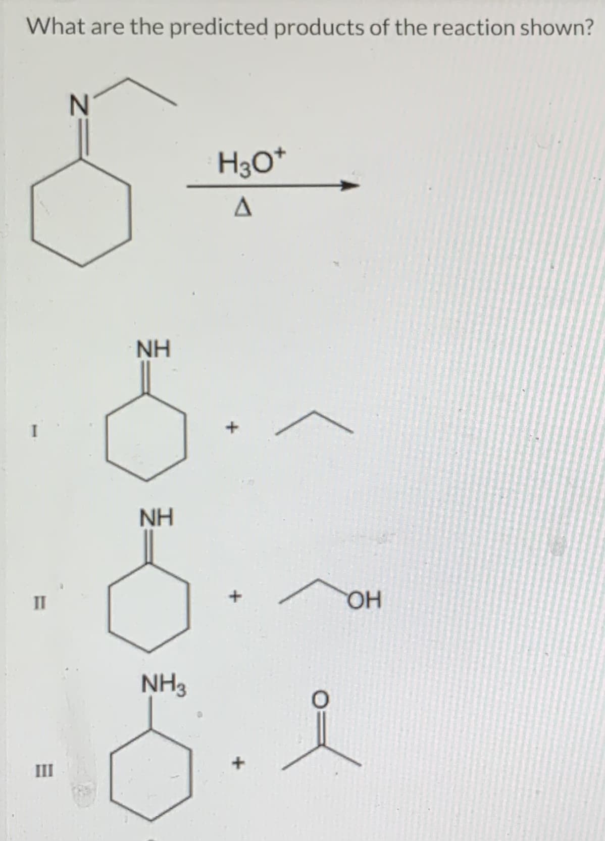 What are the predicted products of the reaction shown?
11
III
N
H3O+
A
NH
8.~
8.-
NH
NH3
O
8.1
OH