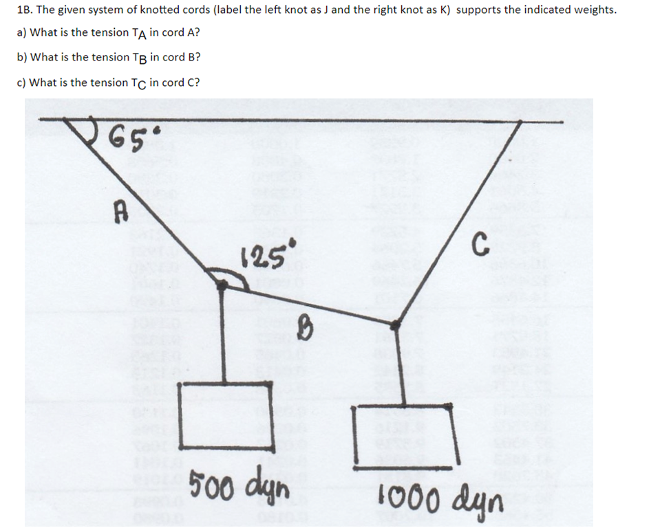 1B. The given system of knotted cords (label the left knot as J and the right knot as K) supports the indicated weights.
a) What is the tension TA in cord A?
b) What is the tension TB in cord B?
c) What is the tension TC in cord C?
65
A
C
1000 dyn
125°
500 dyn
8